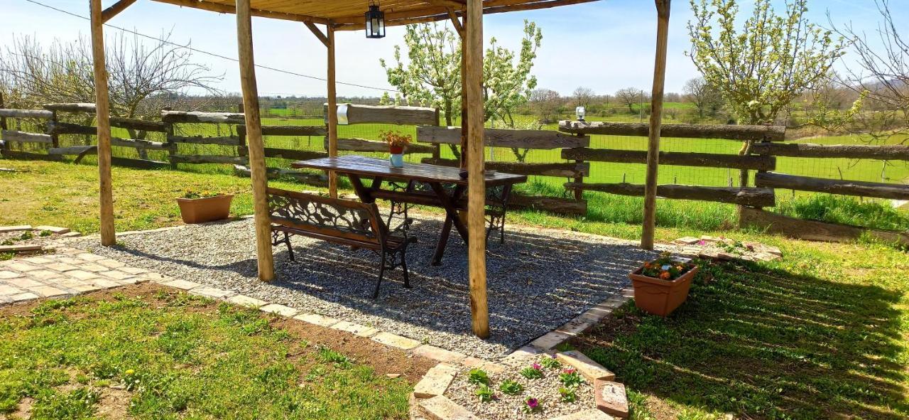 Casavacanze Pergolino, Appartamenti Ad Uso Esclusivo أكوابيندينتي المظهر الخارجي الصورة